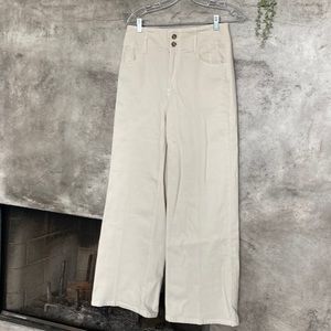 Ann taylor pants